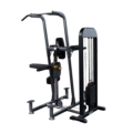 Body Solid PRO-Select Weight Assisted Chin-Dip Machine - Buy & Sell Fitness
